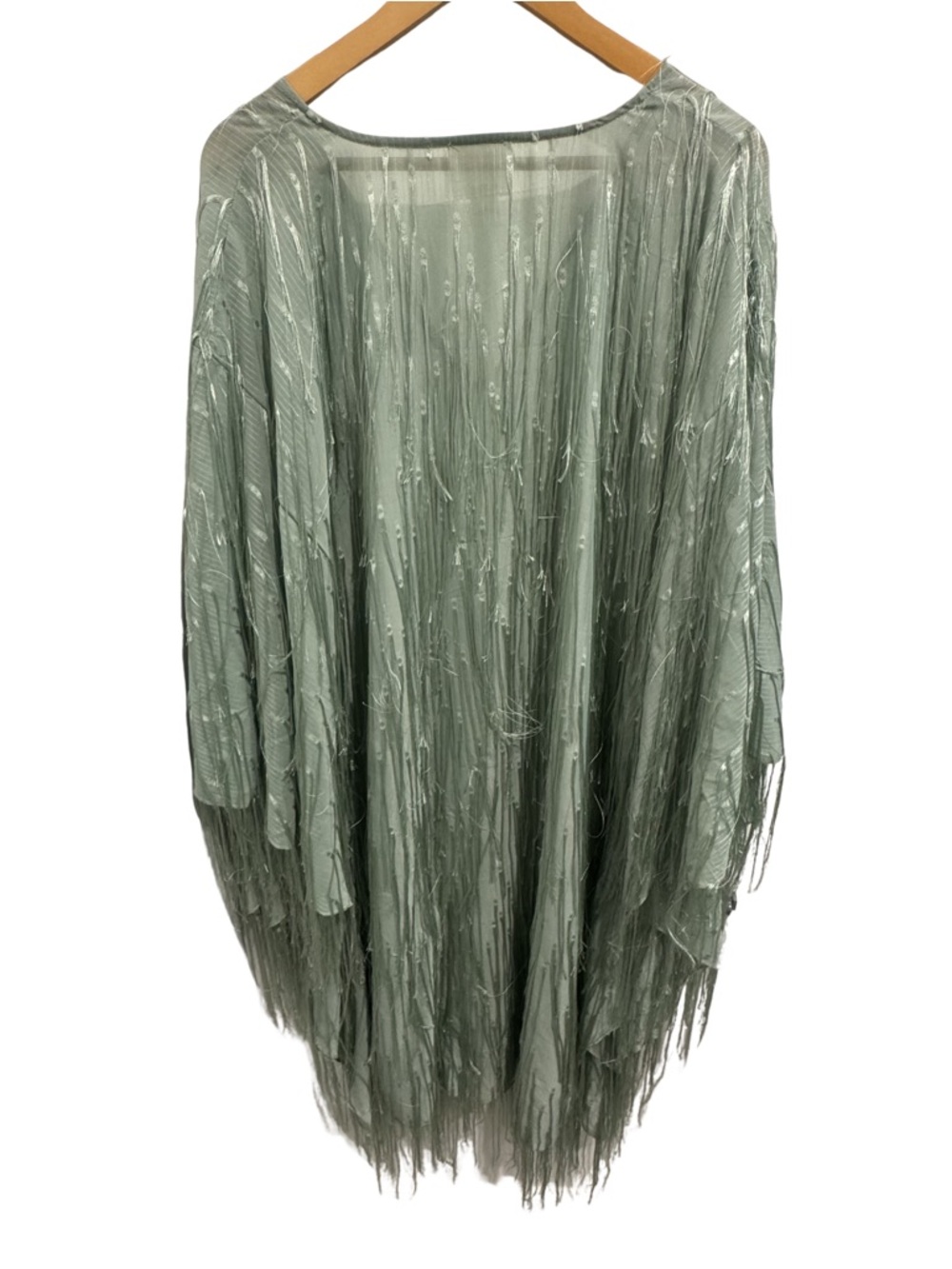 Anthropologie Maeve Fringed Shine Kaftan Sage Green Metallic Fringe Cover Up OS - Picture 4 of 9